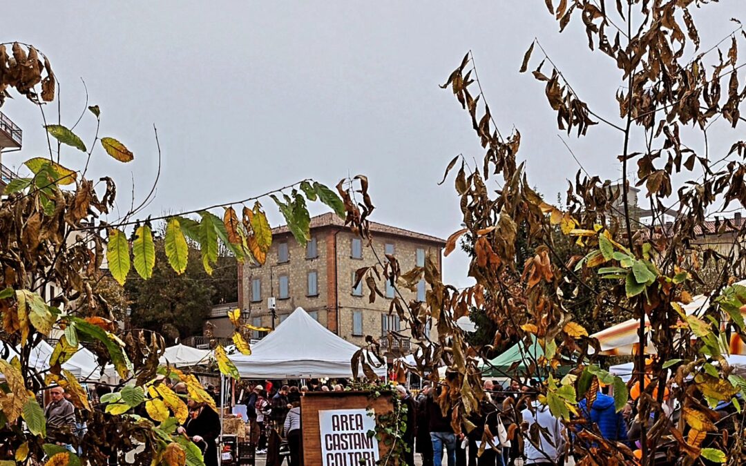 🌰🤎🌰🤎 3^ domenica di sagra della Castagna Ma non lultima! 0 (0)