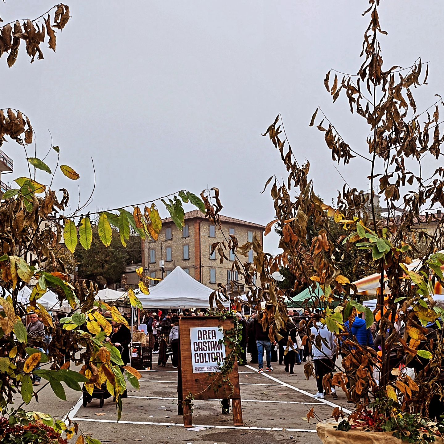 🌰🤎🌰🤎 3^ domenica di sagra della Castagna Ma non lultima!
😋😋😋
Vi aspettiamo oggi e domenica 3 novembre per due meravigliose giornate con tanti piatti prelibati della nostra tradizione caldarroste e  vin brulé!

Non perdevi i meravigliosi  banchi dei castanicoltori di salumi formaggi abbigliamento  arte-ingegno e tanto altro ancora!!

Oggi e domenica prossima tutti a Zocca!!!!