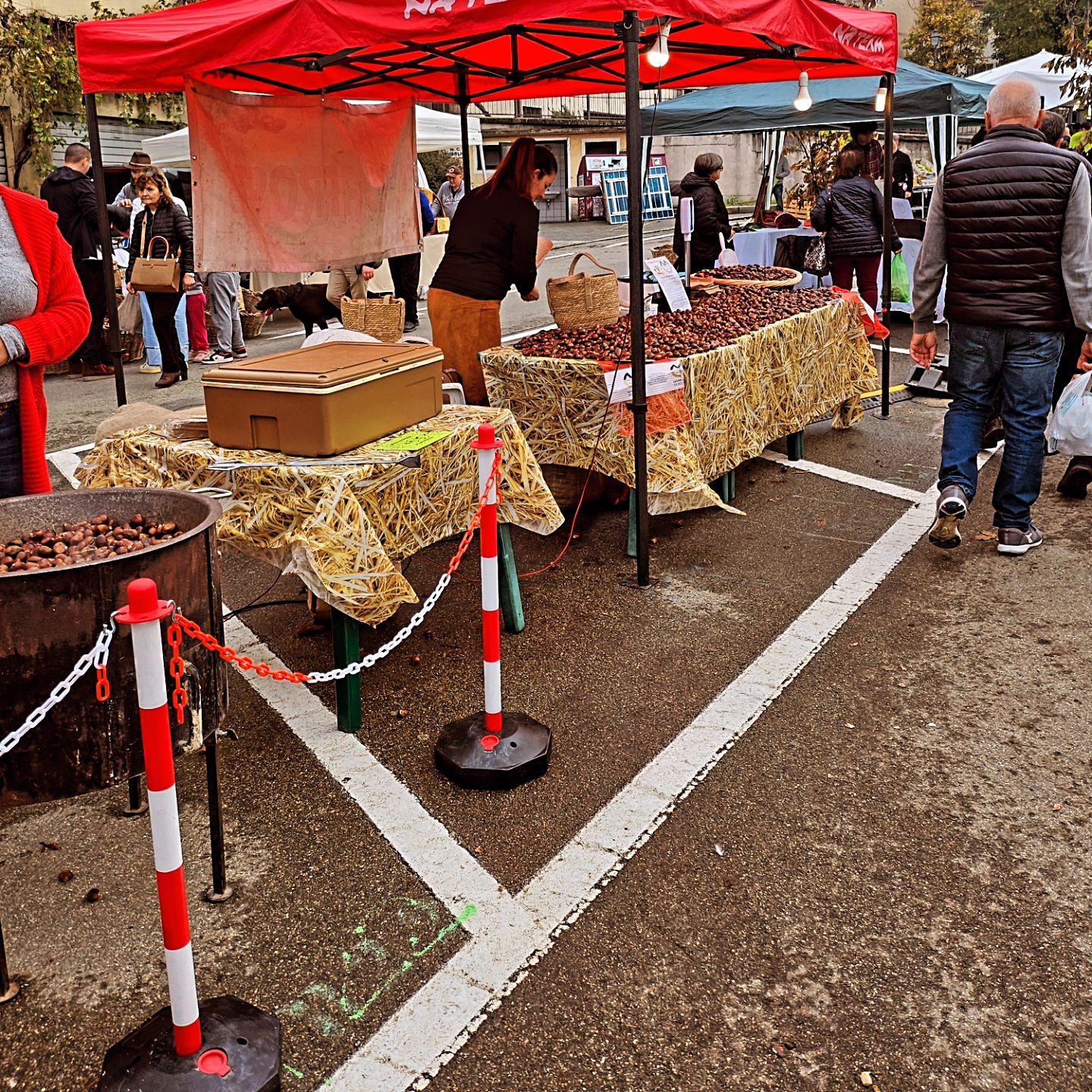 🌰🤎🌰🤎 3^ domenica di sagra della Castagna Ma non lultima!
😋😋😋
Vi aspettiamo oggi e domenica 3 novembre per due meravigliose giornate con tanti piatti prelibati della nostra tradizione caldarroste e  vin brulé!

Non perdevi i meravigliosi  banchi dei castanicoltori di salumi formaggi abbigliamento  arte-ingegno e tanto altro ancora!!

Oggi e domenica prossima tutti a Zocca!!!!